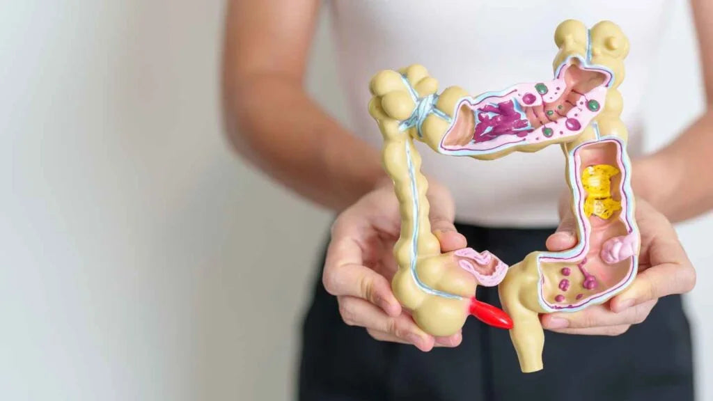 Prebióticos, probióticos y simbióticos: La clave para tu digestión