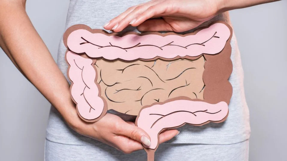 Probióticos para la flora intestinal y tu bienestar digestivo