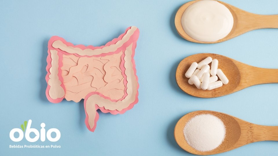 probióticos en cápsulas, en polvo o gotas